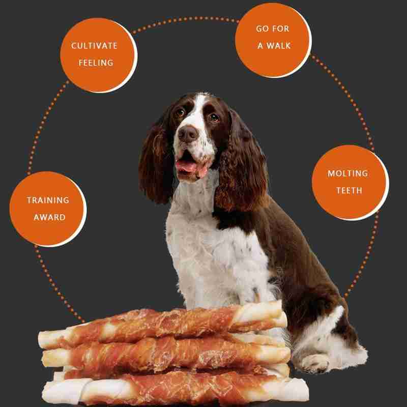 Coffret cadeau de snacks pour chiens avec du bœuf frais, du poulet, des fruits, mangeoire pour chiens, des dents propres, des récompenses, des récompenses pour les petits et grands chiens
